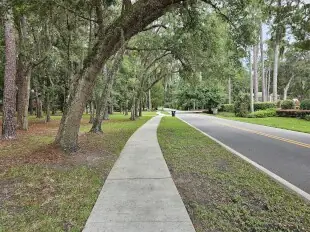 Mandarin Real Estate